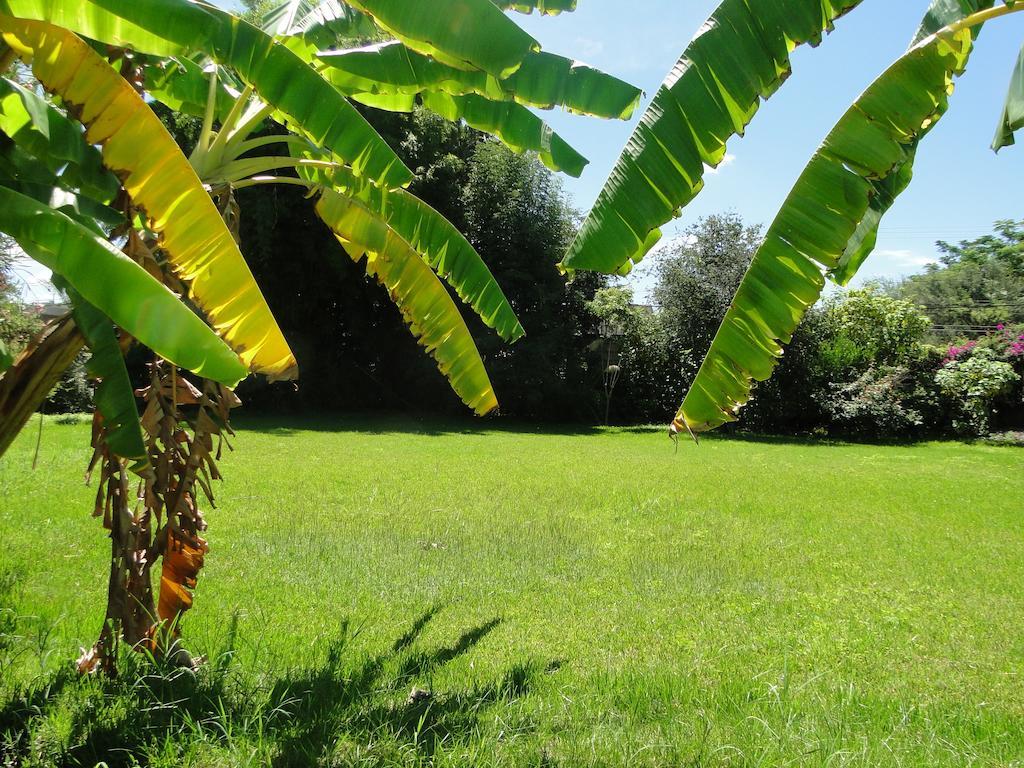 El Molino Hotel Boutique Río Verde Dış mekan fotoğraf